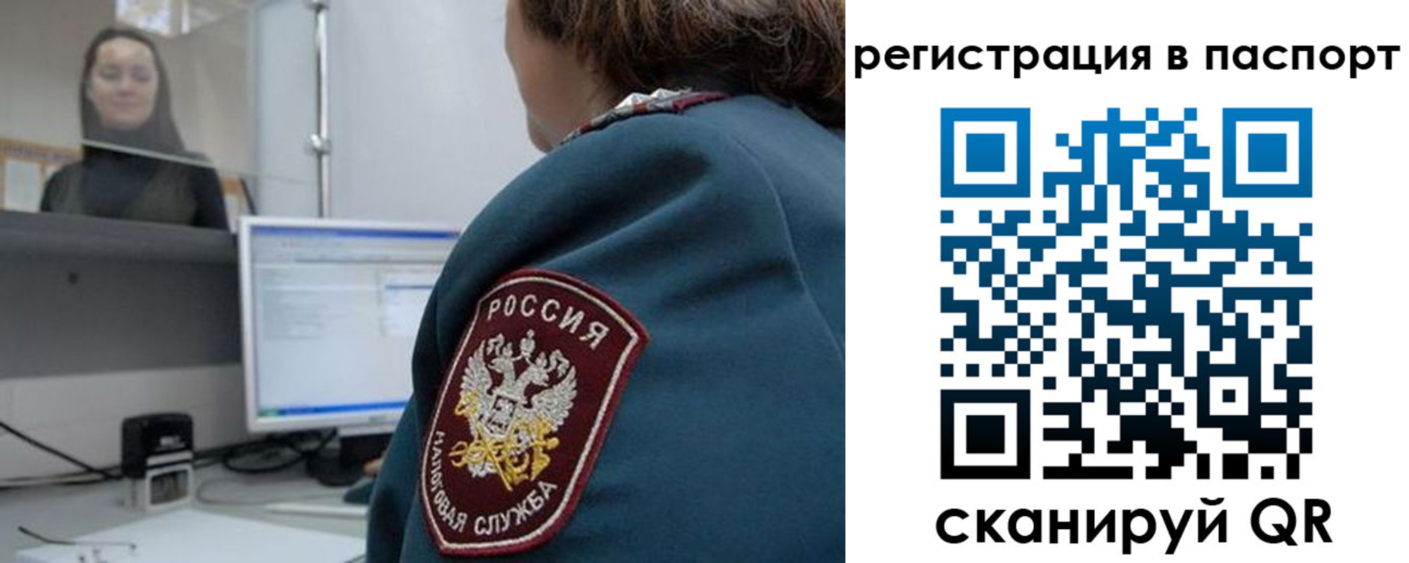 прописка от собственника в Светлогорске