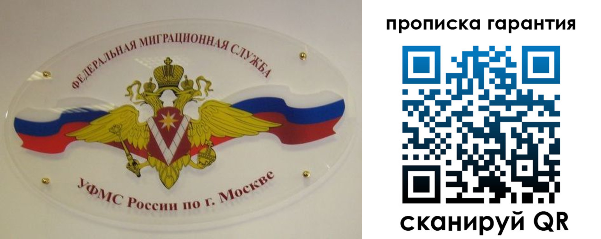 прописка штамп в Светлогорске