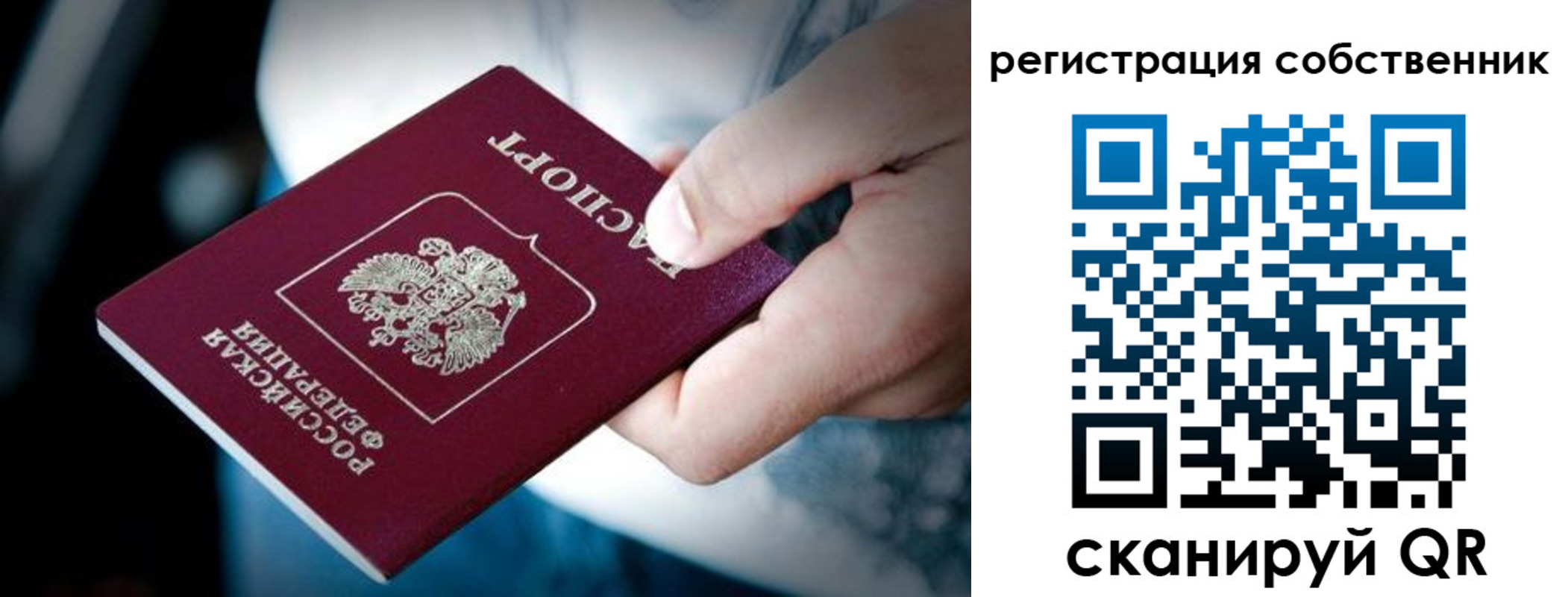 пропишу в квартире в Светлогорске